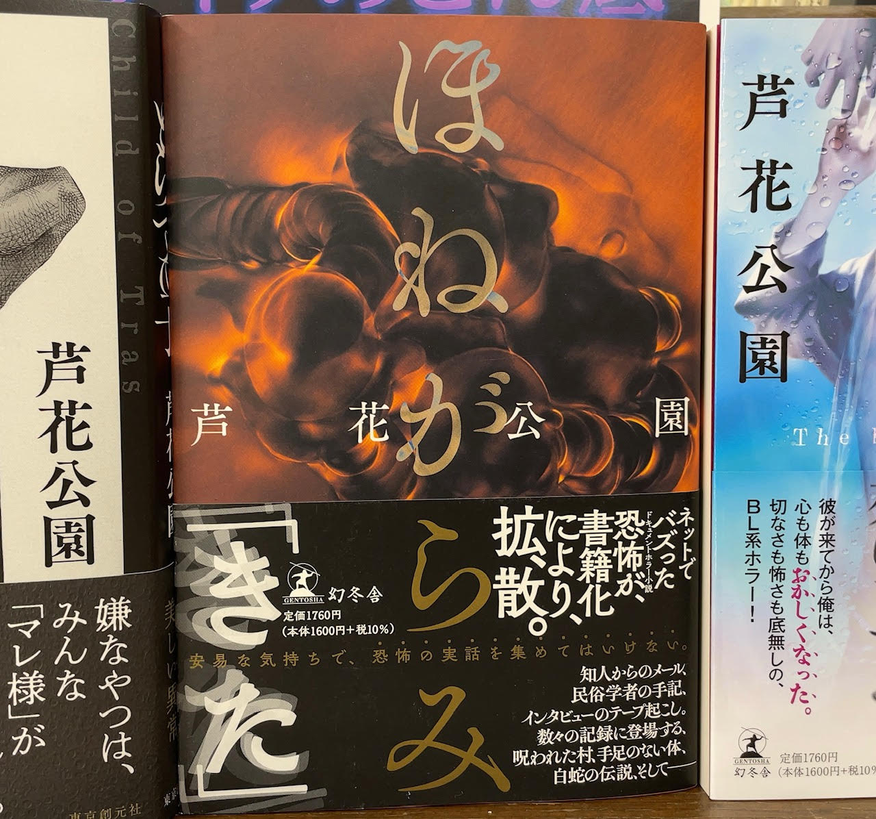 先着50名！芦花公園先生 既刊単行本『ほねがらみ』（幻冬舎）お宛名